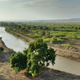 Both Ardipithecus and Lucy were found in the Afar region of Ethiopia.